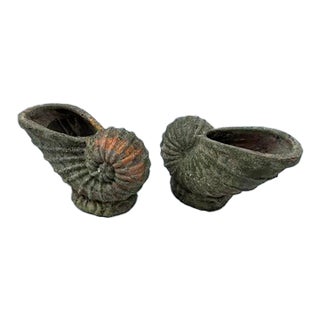 Terracotta Shell Planters a Pair For Sale