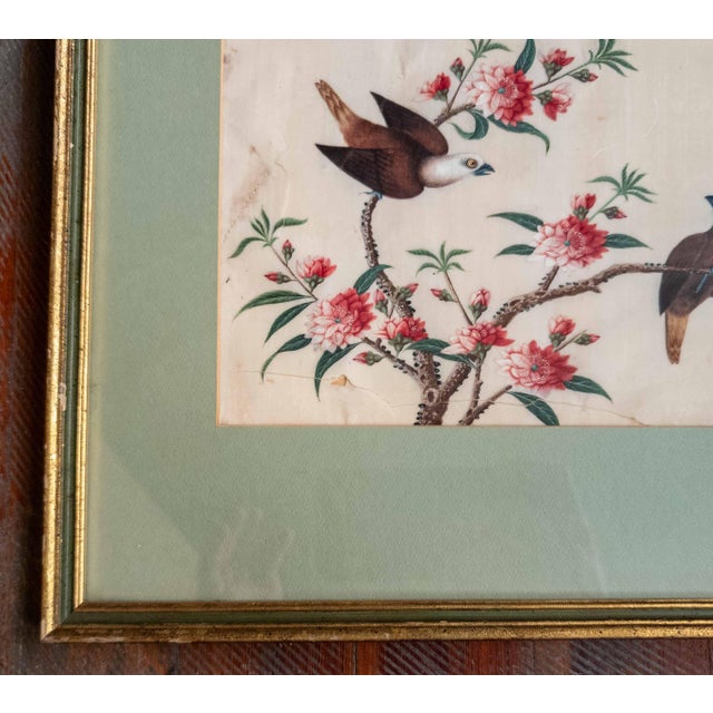 Glass 19th or 20th Century Chinese Watercolor Pith Paper Painting of Birds Arguing For Sale - Image 7 of 16