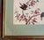 Glass 19th or 20th Century Chinese Watercolor Pith Paper Painting of Birds Arguing For Sale - Image 7 of 16