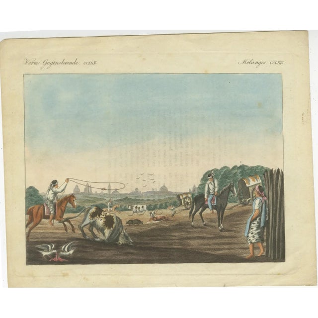 1823 Hand-Coloured Engraving - Gauchos Lassoing Cattle in Buenos Aires, Argentina : This 1823 hand-coloured copperplate...