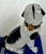 Pair of Porcelain Pug Dog Figurines on Cobalt Blue Bases, Late 19th Century For Sale In New York - Image 6 of 18