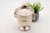 Silver Urn with Lion Heads Engraved with Rings For Sale - Image 5 of 7