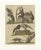 Bertuch, Monkeys & South American Anteaters, 1800, Engraving For Sale - Image 10 of 10