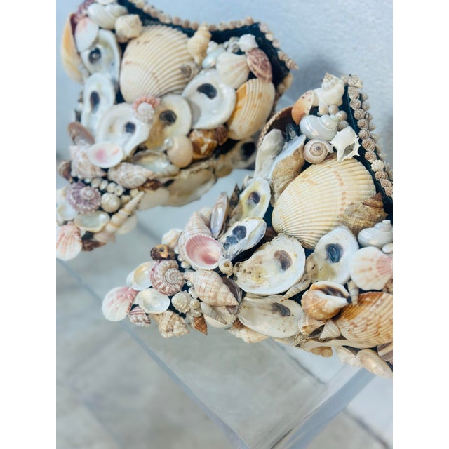 Shell Vintage Shell Brackets, a Pair For Sale - Image 7 of 12