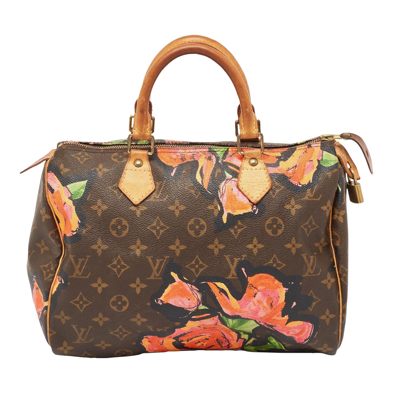 Louis Vuitton Multicolor Monogram Canvas Limited Edition Stephen ...
