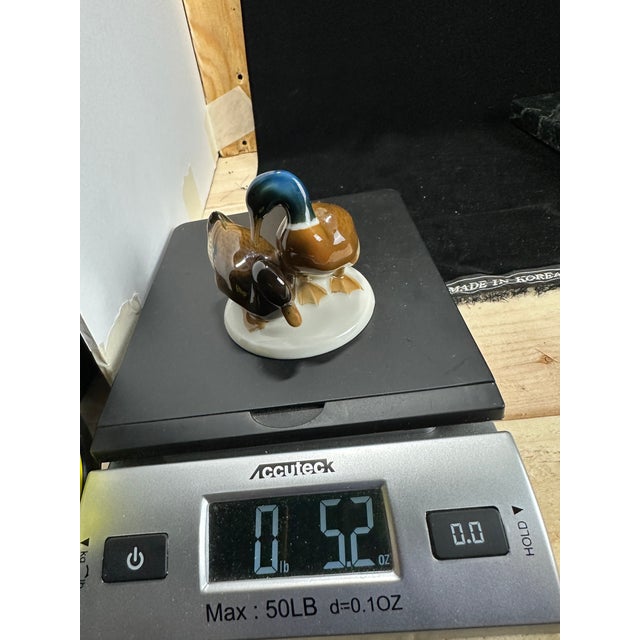 Hutschenreuther Selb Kunstabteilung Porcelain Mallard Duck Family Figurine (Model 440/2) For Sale - Image 10 of 12