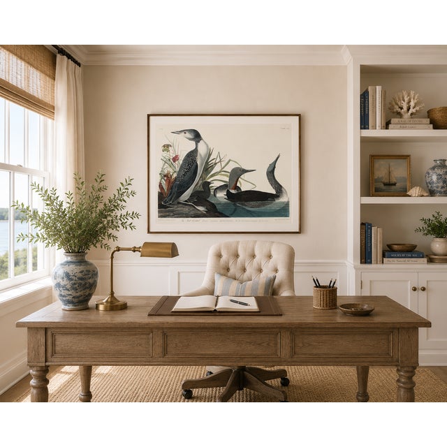 Illustration Red-Throated Diver, Vintage Art Print Reproduction From Birds of America by John James Audubon, 32" X 24" For Sale - Image 3 of 8