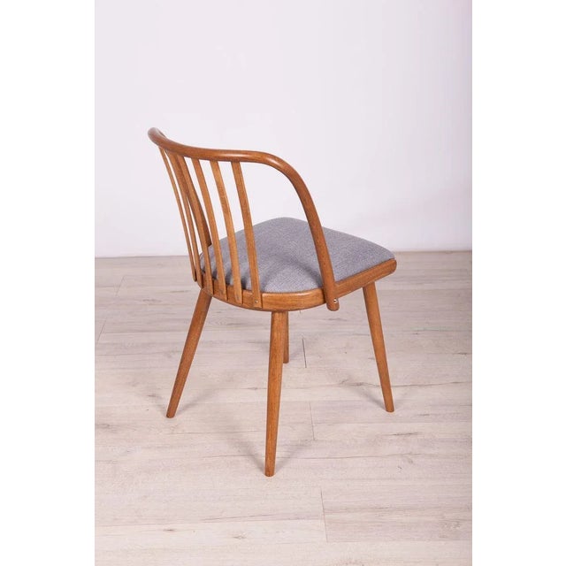 Dining Chairs by Antonín Šuman for Ton, 1960s, Set of 4 For Sale - Image 10 of 18