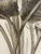 Vision Studio Bird of Paradise Triptych Canvas Wall Art, Set of Three For Sale - Image 9 of 11