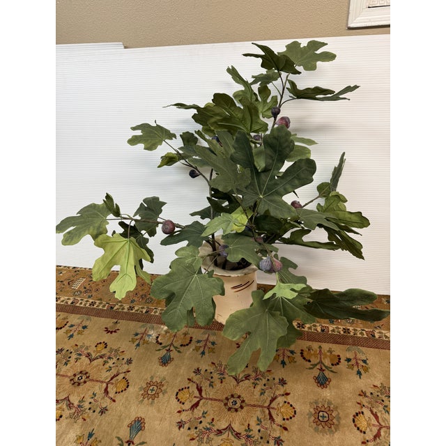 Design Plus Gallery presents a Faux Fig Tree in Ceramic Jug. Enjoy the ornamental beauty of a fruiting fig tree in your...