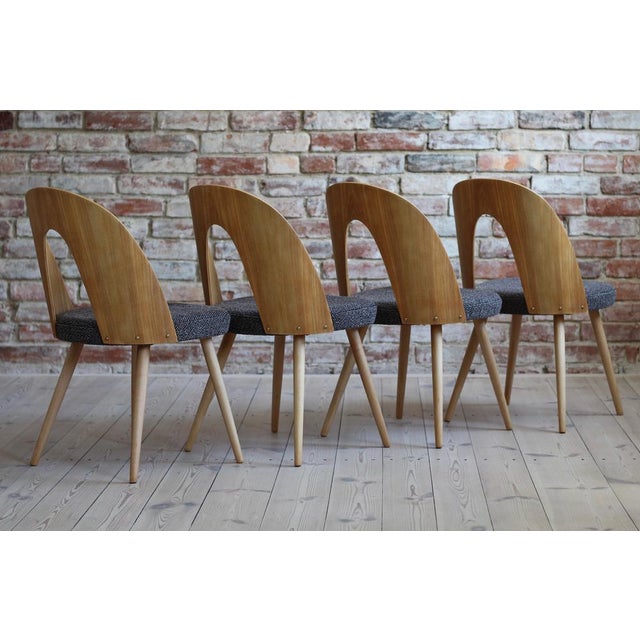Mid-Century Dining Chairs by A. Suman, Set of 10 For Sale - Image 4 of 17
