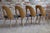 Mid-Century Dining Chairs by A. Suman, Set of 10 For Sale - Image 4 of 17