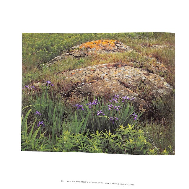 "Maine" 1986 Porter, Eliot For Sale In New York - Image 6 of 11