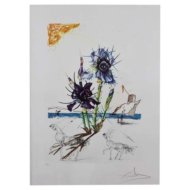 Salvador Dali, Iris Dali’s Youth, 20th Century, Signed Lithograph For Sale - Image 7 of 7
