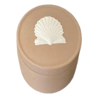 A small English Wedgwood Jasperware jewelry or trinket box with coastal shell design, circa mid-20th century, England. Box...