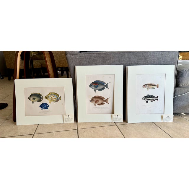 Traditional Set 3 Hand-Colored Engraving - Captain Duperry "Voyage De La Coquille" 1826 For Sale - Image 3 of 18