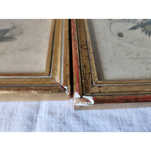 Buffon, Animal Composition, 1853, Pigment Prints, Framed, Set of 2 For Sale - Image 17 of 18