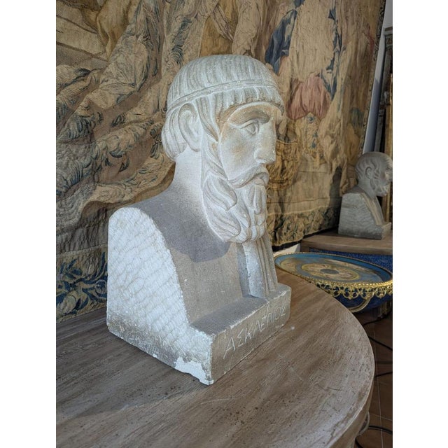 Stone French School Artist, Bust of Aesculapius, 19th Century, Stone For Sale - Image 7 of 13