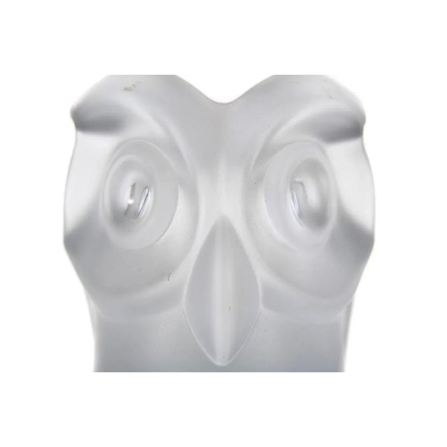Mid-Century Modern 1960s Cofrac Owls Frost Glass Table Lamps - A Pair For Sale - Image 3 of 9