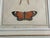 Antique Natural History Entomology Butterfly & Beetle Art Prints Set of Three For Sale - Image 15 of 15