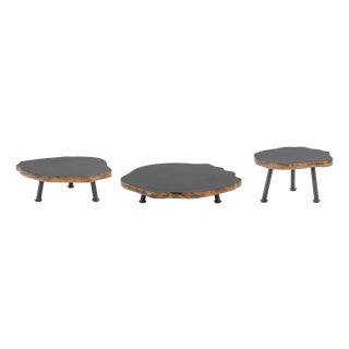 Tree Disc Pedestal Tray (Set of 3) For Sale
