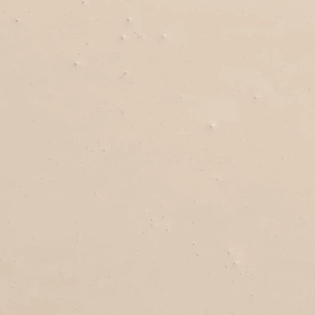 Contemporary BACKDROP Standard Finish Interior Paint in Ryokan Guesthouse (Neutral Beige) - 1 Gallon For Sale - Image 3 of 6