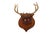 Wood Set of 4 Vintage Mounted Deer Antlers With Leather and Brass Tacks For Sale - Image 7 of 15