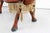 Vintage Egyptian Camel Saddle Stool in Leather and Wood, 1950s For Sale - Image 6 of 11