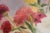 Oil on Canvas Painting Still Life Flowers For Sale In Philadelphia - Image 6 of 17