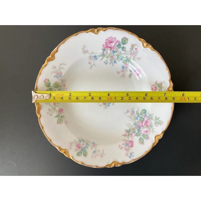 French Roses Floral Porcelain Plates by Haviland- Set of 2 For Sale - Image 9 of 12