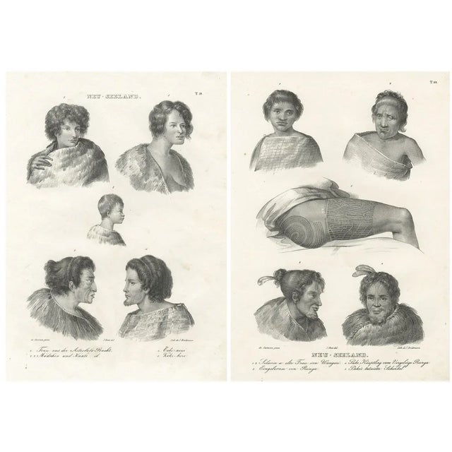 Dumont d’Urville, Portraits of Maori Life and Tattoo Art in New Zealand, 1836, Print For Sale