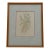 Margot Weemaes 1981 Beloperone Guttata Botanical Portfolio Print For Sale