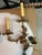 Antique gilded bronze Rococo style wall sconces. These were purchased to match my 28 light French chandelier. Also for...