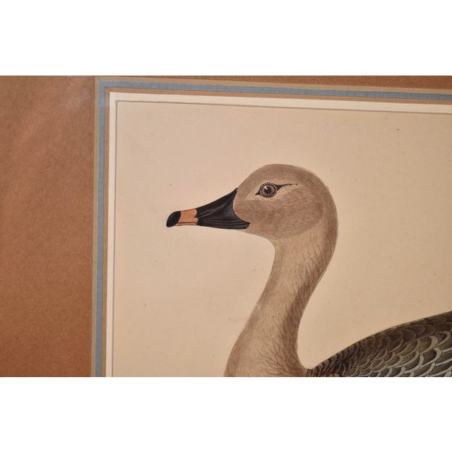 19th Century Beverley Morris Engraving For Sale In Greensboro - Image 6 of 6