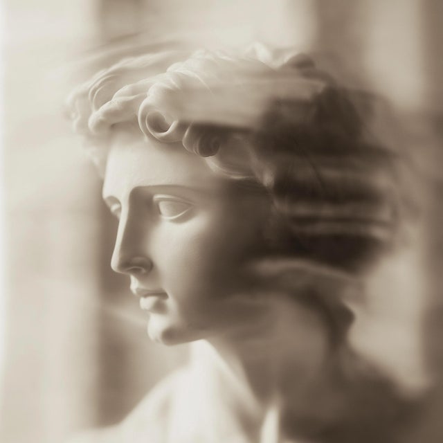Set of 18 Blurred Antique Profiles — Archival Prints of Restored Antique Photographs For Sale - Image 13 of 17