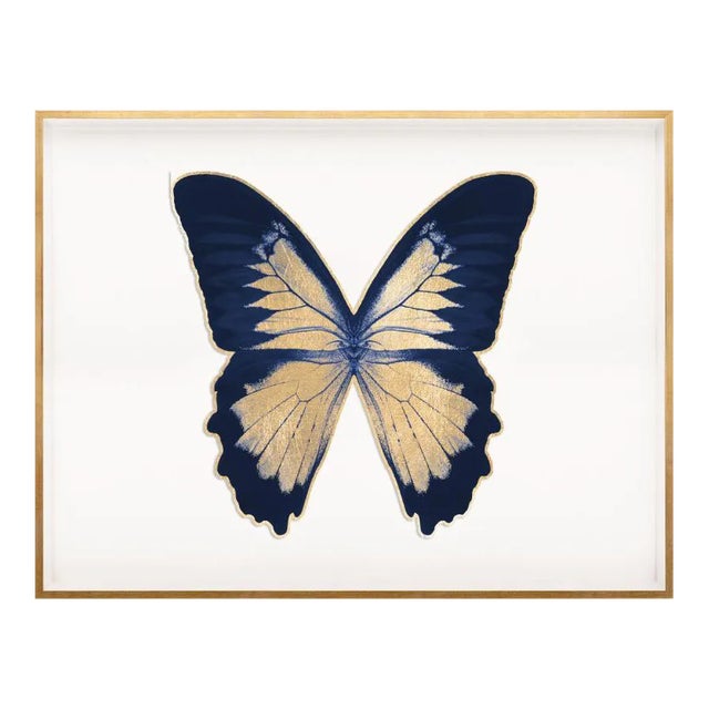 Butterfly Royale, Blue 2 Framed Artwork For Sale