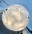 Large alabaster pendant light or chandelier with aged patinated brass fittings in the Directoire style. Wired for US...