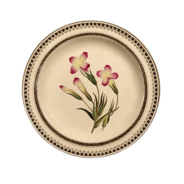 Wedgwood Creamware Botanical Specimen Plate with Pink Flowers and Brown Printed Border Dated 1862 This Wedgwood creamware...