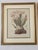 French Vintage Botanical Prints-a Pair For Sale - Image 3 of 12