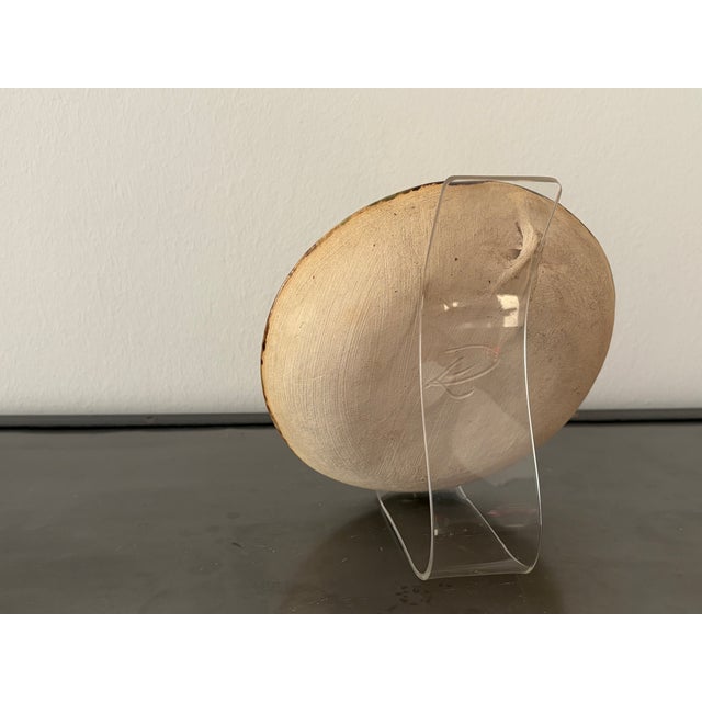 Brown Maritime Wall Plate with Seaweed and Starfish from by Rügenkeramik Wilhelm Löber, GDR, 1960s For Sale - Image 8 of 18