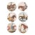 Equine Melamine Side Plates- Set of Six For Sale