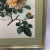 Paul De Longpre Roses 1905 Framed Lithograph Printed by the Grey Co. New York For Sale - Image 11 of 13
