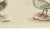 19th Century Bertuch, Jacanas and Wading Birds with Long Toes, 1805, Print For Sale - Image 5 of 12