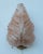 Set of 2 Wall Light Pink Colour Murano Glass Leave by Barovier E Toso, 1950s For Sale - Image 6 of 14