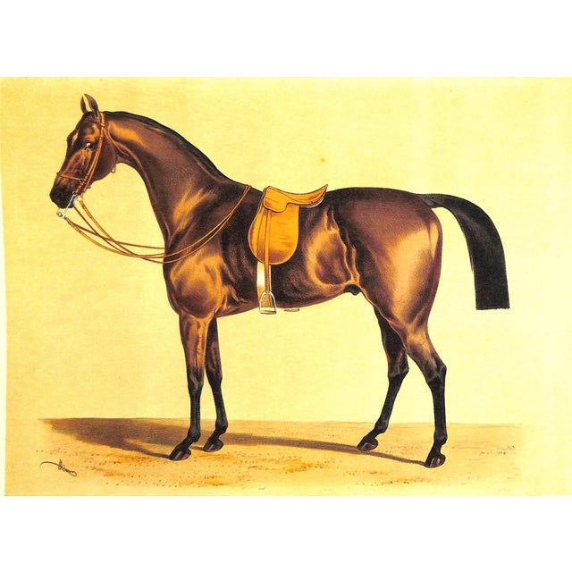 "La Sellerie Francaise Et Etrangere" 1986 Lene For Sale In New York - Image 6 of 8