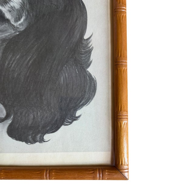 Mid 20th Century Mid 20th Century Ray De Santis Sporting Dog Portrait, English Cocker Spaniel in Bamboo Frame For Sale - Image 5 of 8