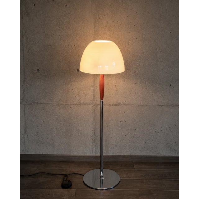 Artemide Menelao Terra Floor Lamp by Ernesto Gismondi for Artemide, 1980s For Sale - Image 4 of 10