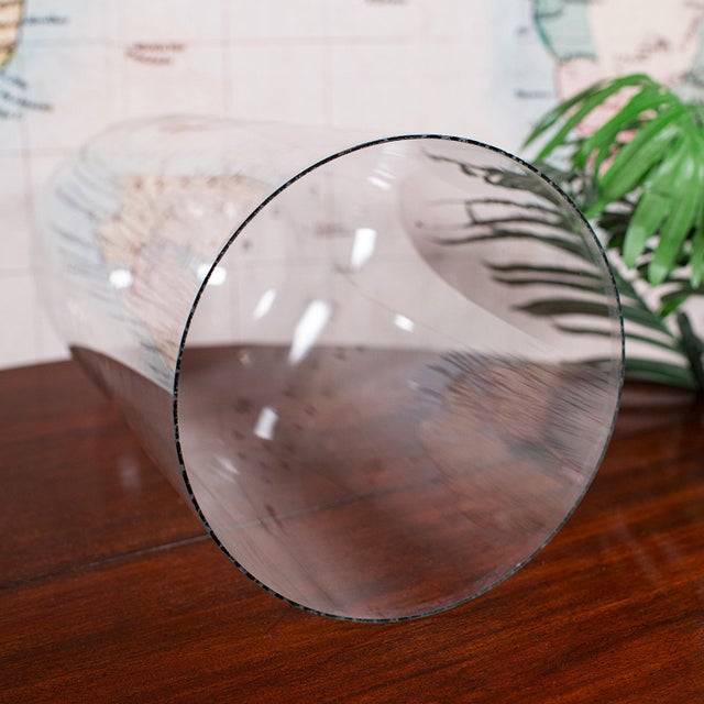 Tall Victorian Antique Display Showcase, English, Glass, Taxidermy Dome, c.1885 For Sale - Image 9 of 9