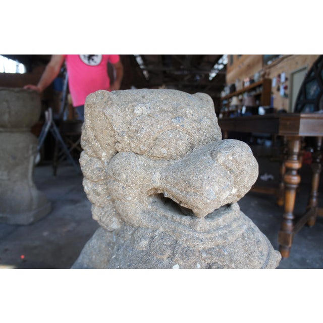 Late 20th Century Vintage Chinese Concrete Foo Dogs Guardian Lion Statues- A Pair For Sale - Image 4 of 13