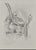 Graham Carter, Snap Snap, Graphite on Paper For Sale - Image 4 of 5